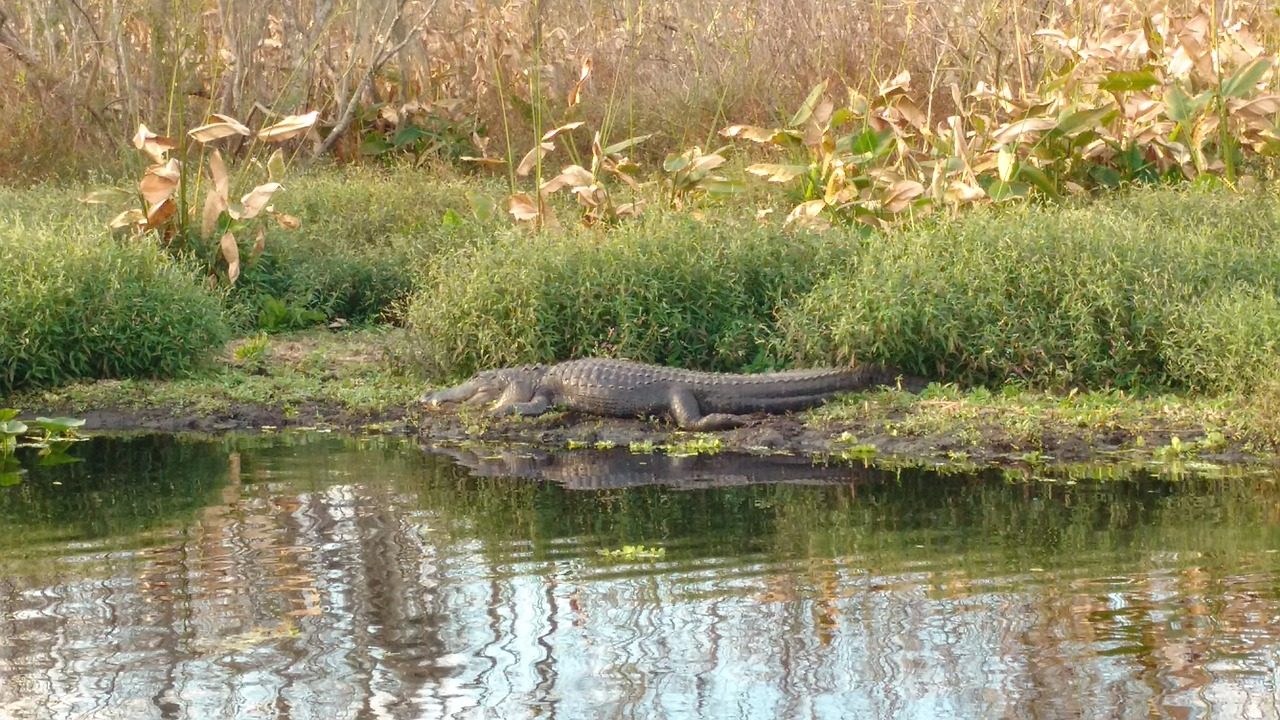 Florida City, Florida
