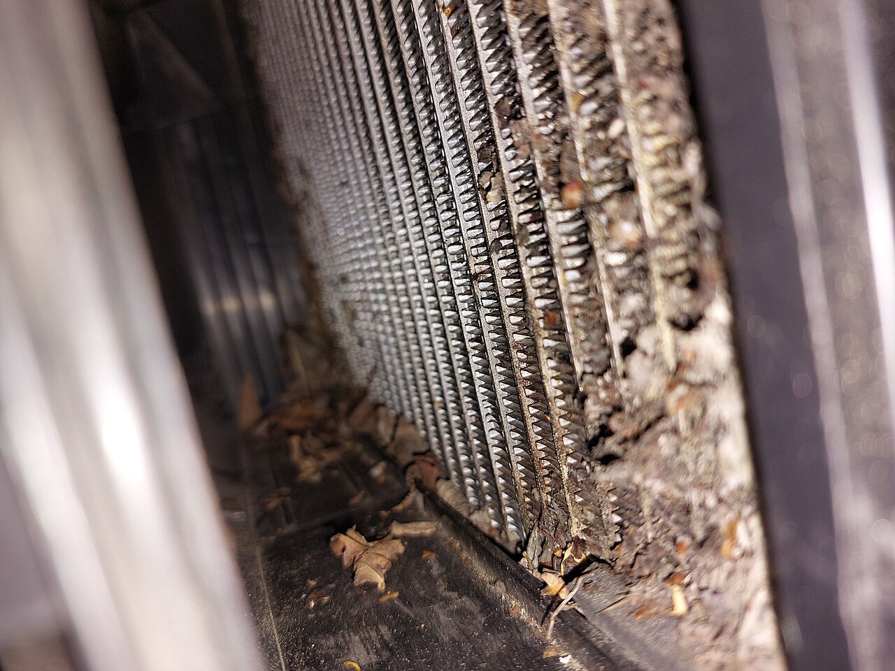 Dirty air conditioner evaporator coil — mold risk in Miami humidity