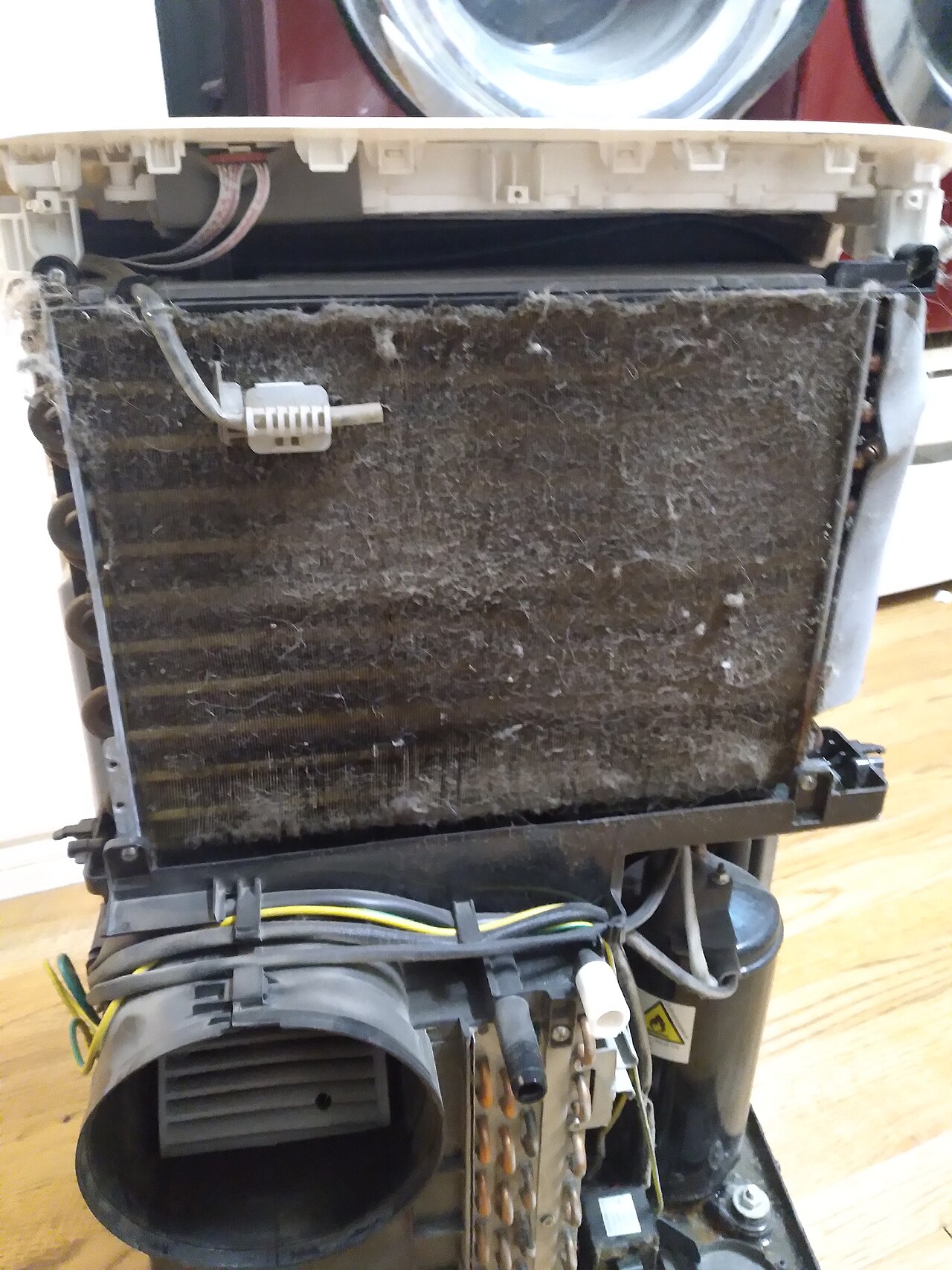 Dirty evaporator coil and filter caked with dust — the kind of buildup where mold takes hold inside an HVAC system